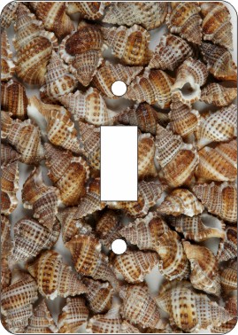 Brown Frog Sea Shell Switch Plate